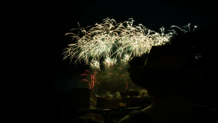 Naklejka premium Fireworks