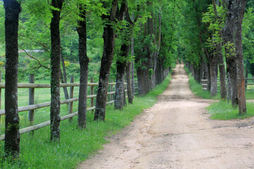 destination