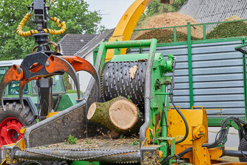 kronenschnitt © Achim Banck