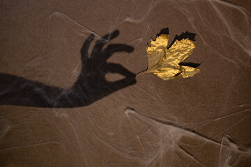 A dry maple leaf gold  in the hand of a hand shadow on a brawn wall background. The concept of...
