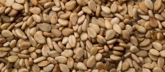 Macro shot of a raw white sesame seed . Top view. Banner  food background. A scattering of sesame seeds. Healthy food. Natural food.