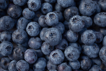 fresh fruit blueberries scattered background