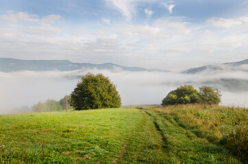 Fototapeta na wymiar beautiful landscape of early autumn. Misty mountains in September. green trees with fog on background