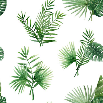 Tropical leaves seamless pattern isolated. Green palm jungle florals. Watercolor free-hand illustration for wedding, lifestyle, fabric, textile