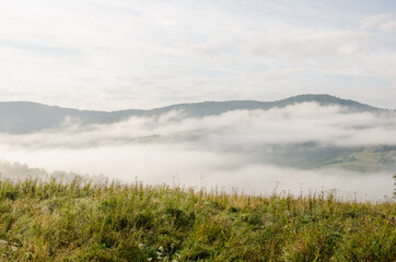 beautiful landscape of early autumn. Misty mountains in September. green fields with fog on background