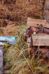 Fototapeta premium Stack of wood on the autumn ground
