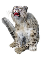 Fototapeta premium 3D Rendering Snow Leopard on White
