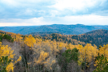 Panorama of the autumn forest against the blue sky with clouds.