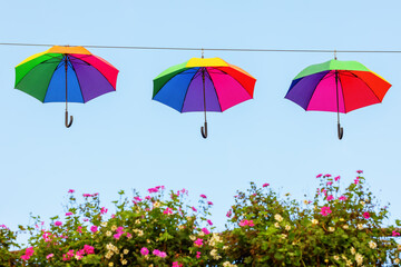 rainbow colored umbrellas on a line