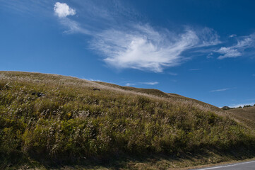 風景, 空, 自然, 山, 雲, 草, 緑, 青, 全景