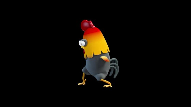 Rooster silly dancing