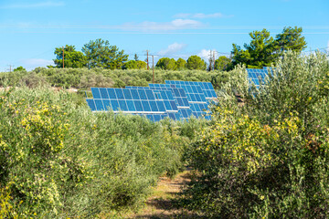 Renewable energy production with solar cells in the south of Crete. Small solar Photovoltaic system farms exist throughout the country, sometimes in the middle of Olive groves