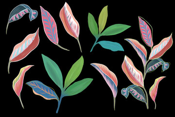 illustrated tropical leaves isolated elements set colorfull pink green blue colection