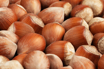 hazelnuts background. food background, texture, selective focus.