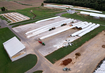 Farm building with cows and pigs in the village, aerial view. Cowshed near agriculture field. Production of milk and Animal husbandry. Cow Dairy. Farm animals and Agronomy. Farm of cattle.