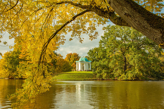 Goldener Herbst mit Blick auf das Tempelchen auf der Schwaneninsel in der Karlsaue in Kassel