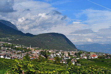 Vineyards and the village Caldaro in Southtyrol behind mountains 