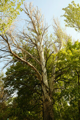 Autumn landscape, colorful tree leafs, yellow-red botanical garden