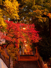 The autumn stairway