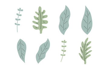 Green leafs doodle set. Vector hand drawn botanical illustration. Isolated objects on white. Scandinavian style design. 