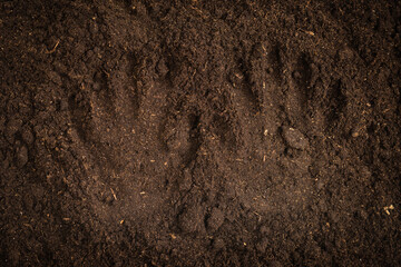Woman hand trace on a ground.