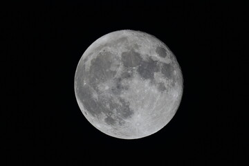 2021年1月21日　月齢15.08　　21時57分
大気状態がとてもよく綺麗な月です