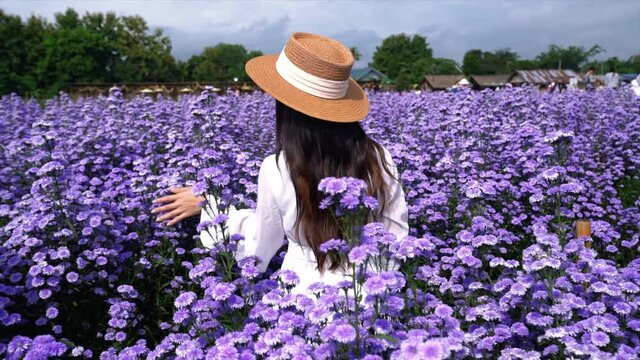 Beautiful girl in white dress walking in Margaret flowers fields.