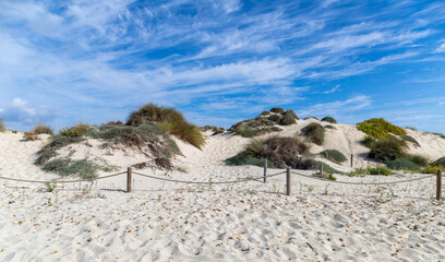 Espalmador islet make up the best preserved dune system of the Balearic Islands. It is part of the...