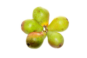 pear isolated on white background