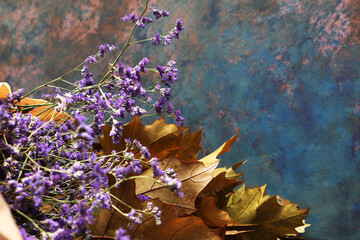 Composizioni di foglie e fiori autunnali fotografate su un fondo spatolato in varie tonalità di colore