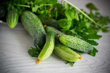 organic cucumbers with herbs on a wooden table