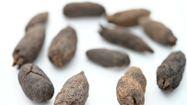 angle view herb MuDingXiang or Flos Caryophyllata or Clove rotating