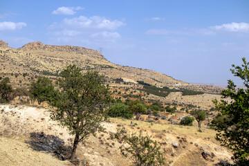 Fototapeta na wymiar View of mountains hills and steppe vegetation.