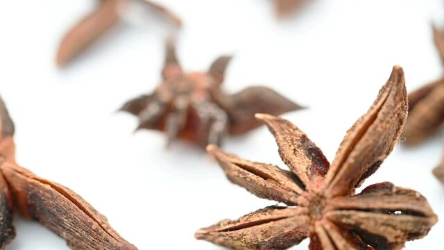 angle view herb BaJiaoHuiXiang or Anisi Stellati Fructus or Truestar Anise rotating