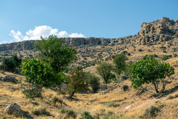 View of mountains hills and steppe vegetation.