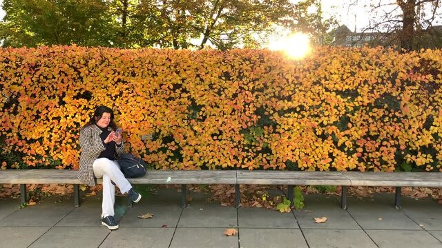 Lady sitting on bench outside texts on the phone. In the background the colorful foliage shows that it is during autumn season.
