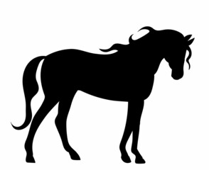horse silhouette vector, isolated, on white background