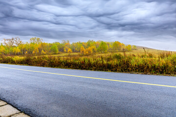 Asphalt road and autumn forest landscape on a cloudy day.