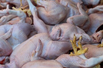 raw fresh chicken meat on traditional market