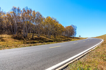Fototapeta premium Empty asphalt road and autumn forest landscape.Road and trees background.