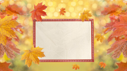 A postcard with an empty crumpled paper in a frame and autumn maple leaves on a defocused background