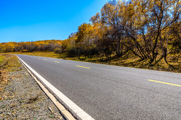 Empty asphalt road and autumn forest landscape.Road and trees background.