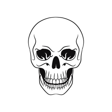 graphic art human skull illustration, black and white skull image.