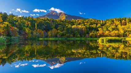 北海道　利尻島　秋　紅葉　絶景