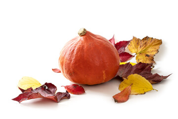 Red kuri squash or Hokkaido pumpkin with autumn leaves isolated on a white background, healthy vegetable for Halloween and Thanksgiving, copy space