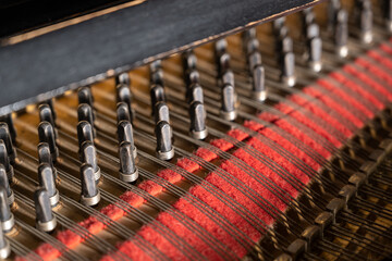 Close-up view to pins or pegs with strings and red felt inside an older grand piano, part of the...