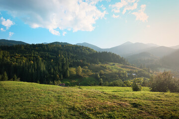 Beautiful view of green pasture in mountains on sunny day