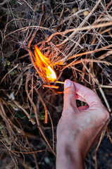hand setting fire to dry grass and branches with a lighted match