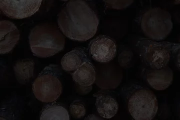 Tuinposter Timber Texture: A Pile of Cut Wood Logs © Marina