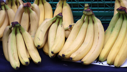 group of vegetable bananas